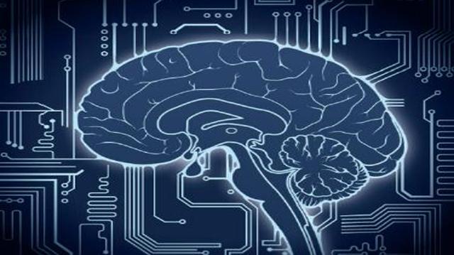 網(wǎng)紅送餐機器人 智能表象下的“無人”困境與自動駕駛的深層挑戰(zhàn)