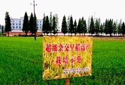 如圖所示為某跌落試驗臺,當把電子等產品包裝好后,自由選擇面 棱 角三個跌落狀態,抬升至預置高度再瞬間釋放,檢測墜落后的包裝與產品的受損情況 該試驗的方法屬于