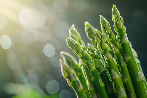 成熟食品新鮮蔬菜蘆筍圖片攝影圖 廣告素材 下載至來源處