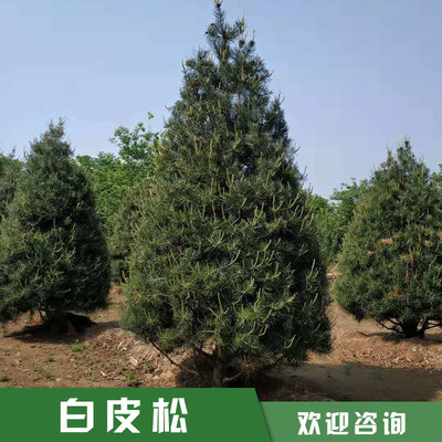 產品刪除頁