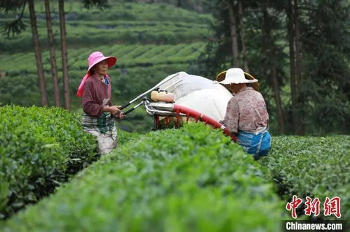 外人竟是咱自己 各地隱藏農(nóng)特產(chǎn)給你驚喜