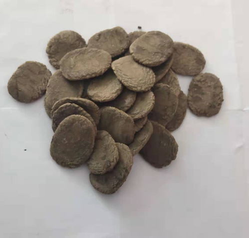 金銀卡飼料報(bào)價(jià) 廠家
