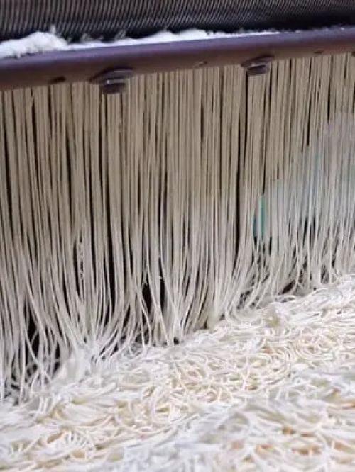 工廠實拍視頻 真材實料才能做出好味道 生活就是一碗面 陳大毛良心食品