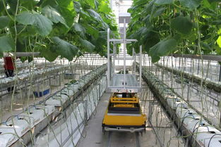 創新的基石 二十九 讓植物工廠更智慧和節能